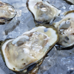 Oyster Shuck at the Plaza B&B