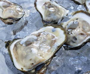 Colonial Beach Plaza Oysters