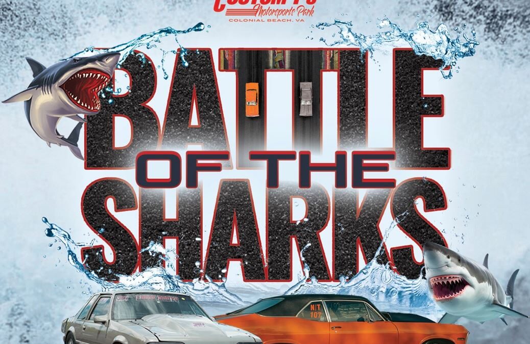 Custom Ts Battle of the Sharks