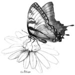 Caledon State Park Art and Wine Festival