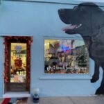 2023 Pet Photo Contest at Beach Paws Boutique