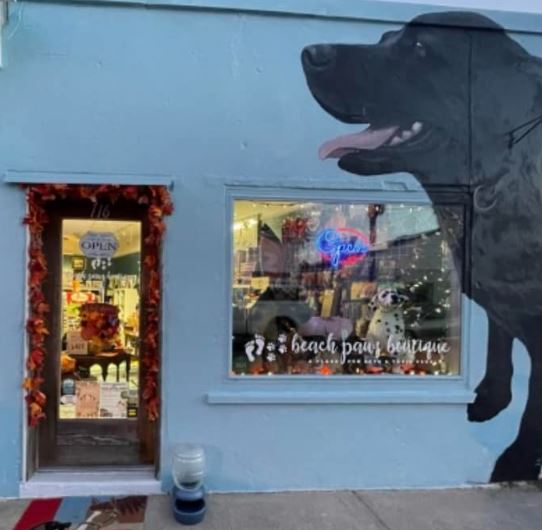 2023 Pet Photo Contest at Beach Paws Boutique