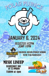 Dockside Polar Plunge