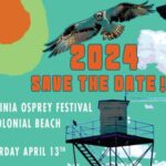 Virginia Osprey Festival in Colonial Beach