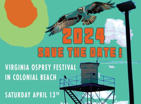 Virginia Osprey Festival in Colonial Beach