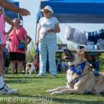 13th Annual Dog Day in Colonial Beach