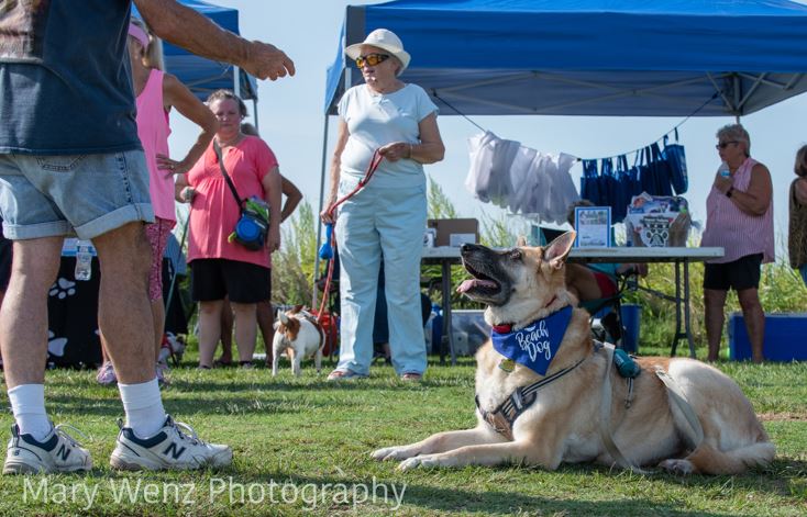 13th Annual Dog Day in Colonial Beach