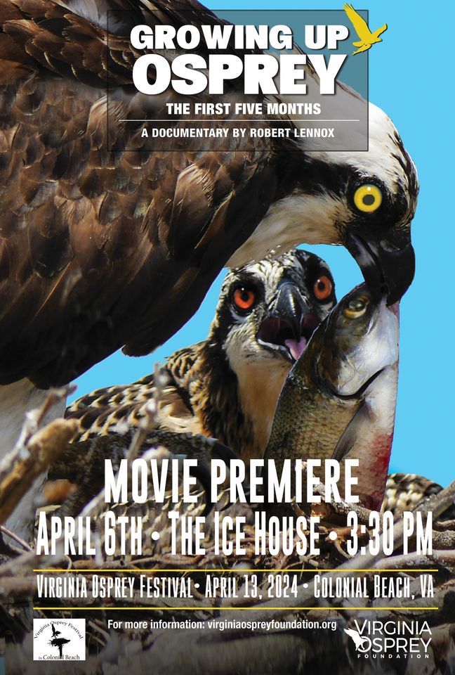 Growing Up Osprey Movie Premiere