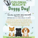 Colonial Beach Doggy Day