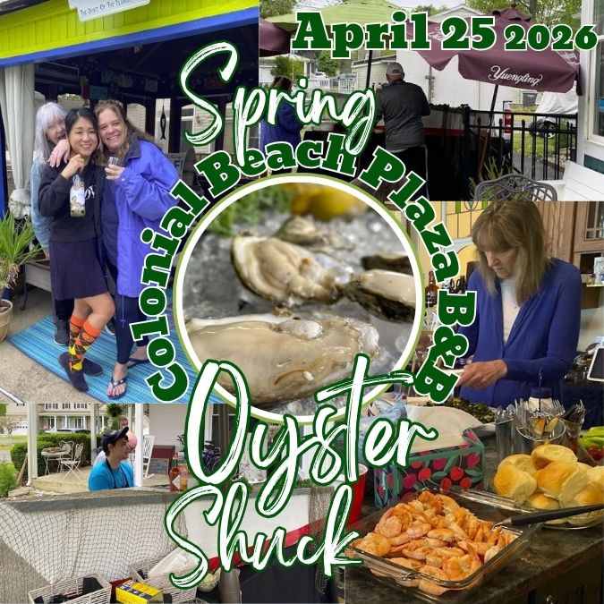 Plaza B&B Spring Oyster Shuck